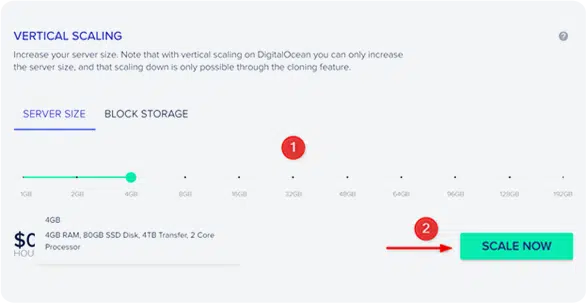 sbwds cloudways-hosting one click duplicator