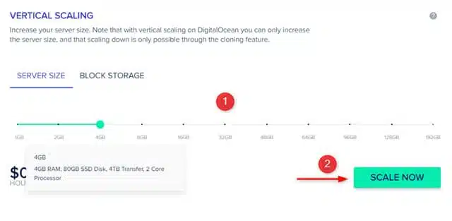 how-to-decrease-server-ram-in-cloudways-hosting-pic-02