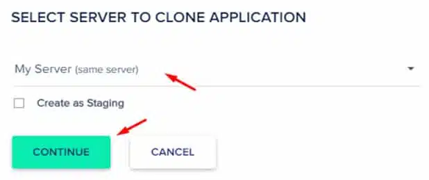 how-to-duplicate-a-website-in-cloudways-hosting-pic-03