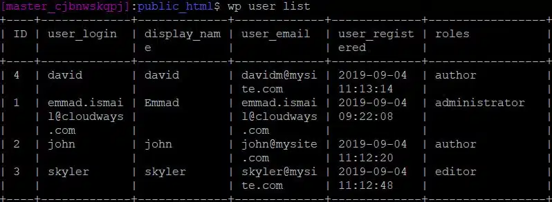 how-to-reset-wordpress-password-in-cloudways-hosting-pic-03